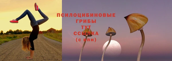 МДПВ Арсеньев