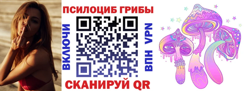 Псилоцибиновые грибы Magic Shrooms  где продают   Старица 