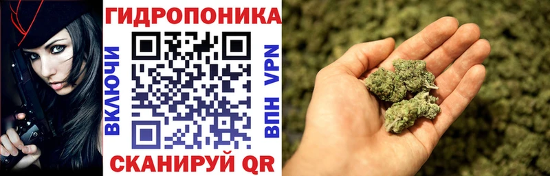 Каннабис гибрид  мориарти официальный сайт  Старица  купить наркотики сайты 